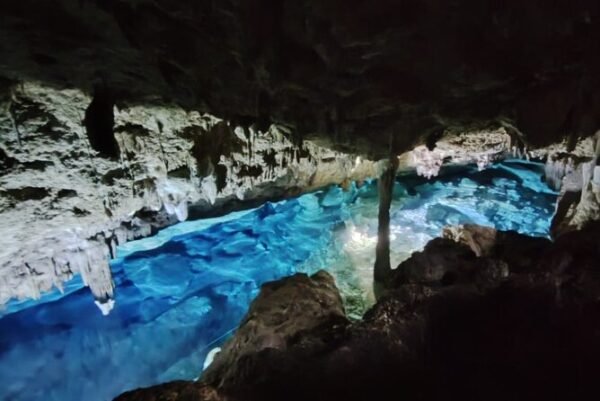 Snorkeling en los Cenotes de Bayahibe - Image 3
