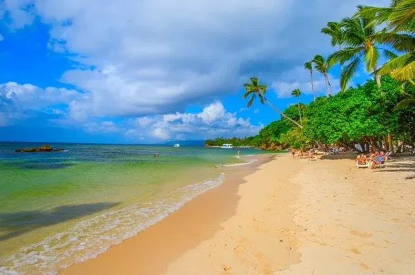 Excursión los Haitises y Cayo Levantado - Imagen 3