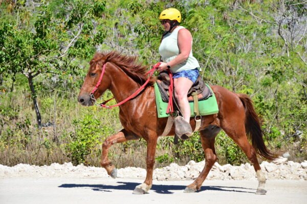 Tour en Caballo Punta Cana - Image 5