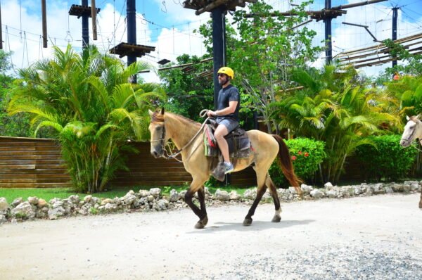 Tour en Caballo Punta Cana - Image 3