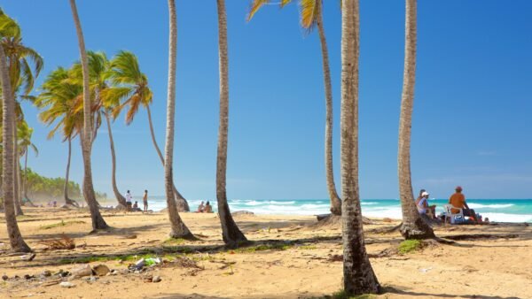 Tour de Medio Día en Buggy en Punta Cana: Explora la Cueva de Agua y Playa Macao - Imagen 6