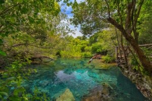 Reserva Ecológica Ojos Indígenas: Eco Journey en Punta Cana