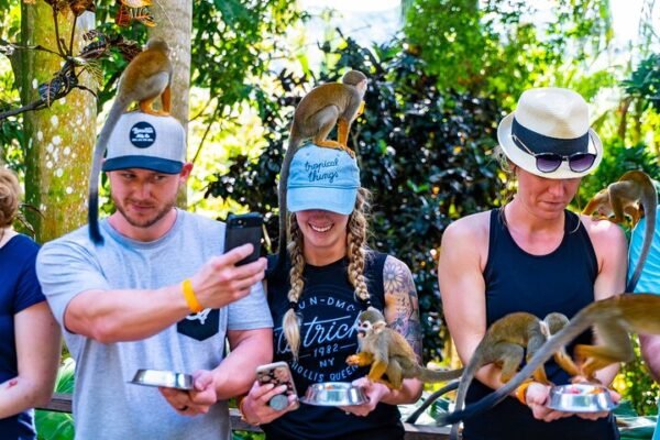 Tour Monkeyland y Safari en la Plantación desde Punta Cana