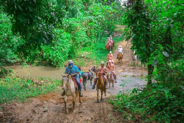 Tour de Aventura en Tirolesa en Punta Cana con Buggies y Paseos a Caballo - Image 8
