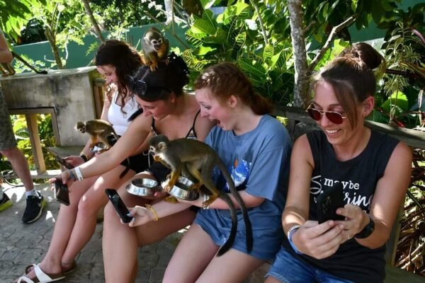 Tour Monkeyland y Safari en la Plantación desde Punta Cana - Imagen 2