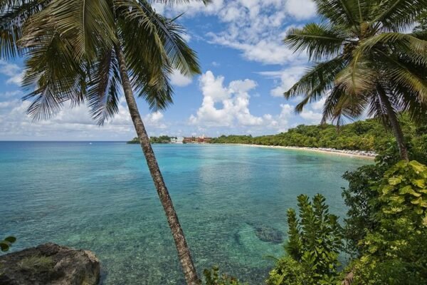 Excursión en Puerto Plata: Snorkel y Día de Playa en Sosúa - Imagen 8