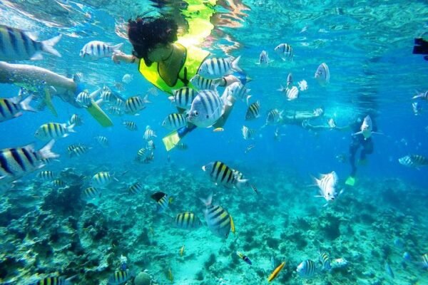 Excursión en Puerto Plata: Snorkel y Día de Playa en Sosúa - Imagen 3