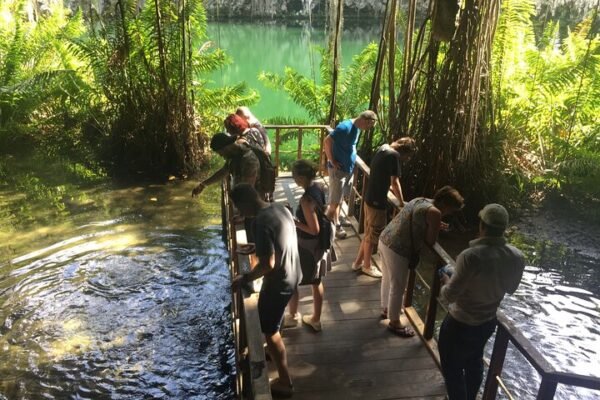 Tour de Exploración al Parque Nacional Los Tres Ojos - Image 5