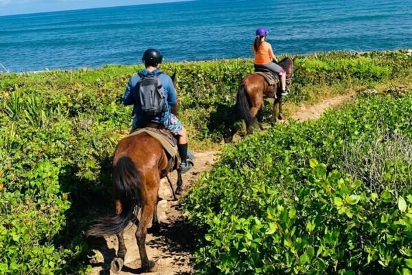 Paseo a Caballo en Punta Cana: Jungla y Playa - Imagen 5