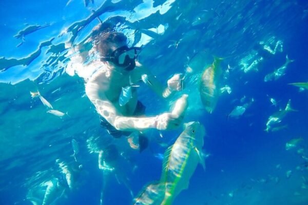 Snorkel Privado en la Bahía de Sosúa - Imagen 2