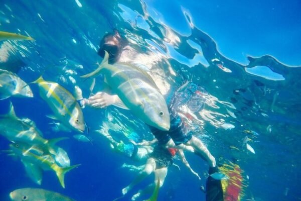 Snorkel Privado en la Bahía de Sosúa - Imagen 5