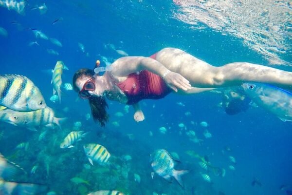 Snorkel Privado en la Bahía de Sosúa - Imagen 4