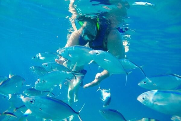 Snorkel Privado en la Bahía de Sosúa - Imagen 3