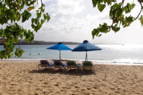 Excursión en Puerto Plata: Snorkel y Día de Playa en Sosúa - Imagen 7