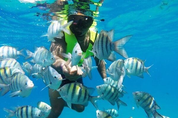 Excursión en Puerto Plata: Snorkel y Día de Playa en Sosúa - Imagen 4