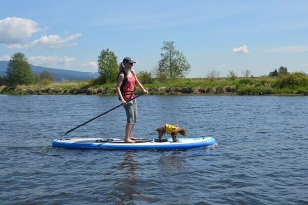 Paddle Board Inflable o Kayak en Puerto Plata y Cabarete - Imagen 8