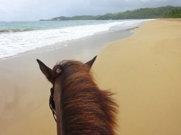 Paseo a Caballo al Río Maimón desde Punta Cana - Imagen 8