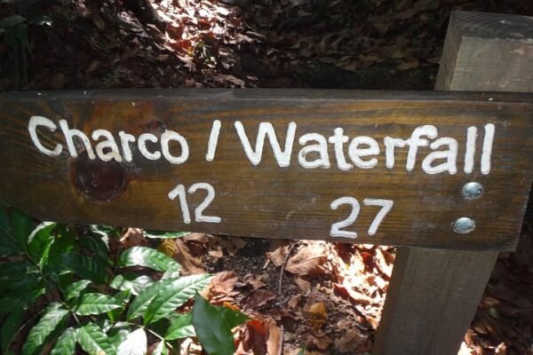 Excursión a las 27 Cascadas desde Amber Cove y Bahía Taína - Imagen 7