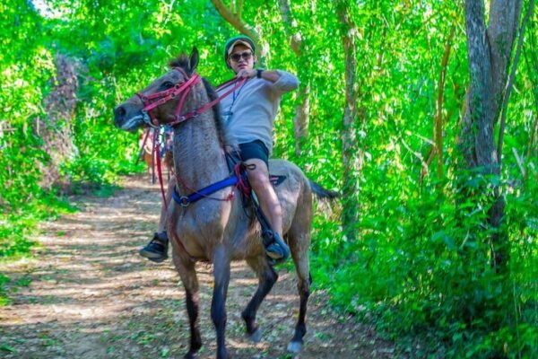 Paseo a Caballo en Punta Cana: Jungla y Playa