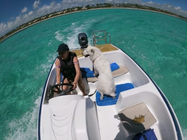 Speed Boat y Snorkel en Punta Cana - Imagen 2