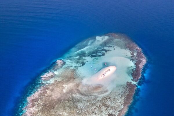 Tour a Paradise Island (Cayo Arena) desde Punta Rucia - Imagen 3