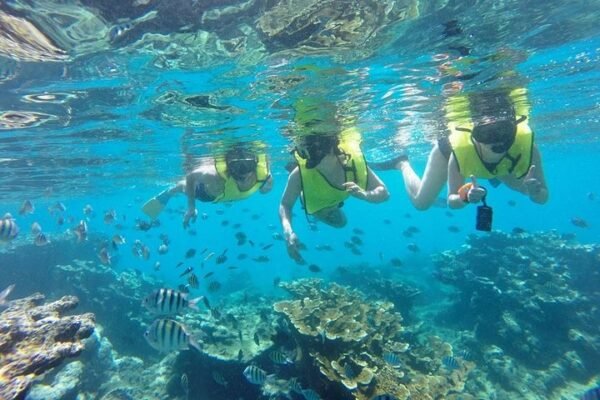 Excursión en Puerto Plata: Snorkel y Día de Playa en Sosúa - Imagen 5