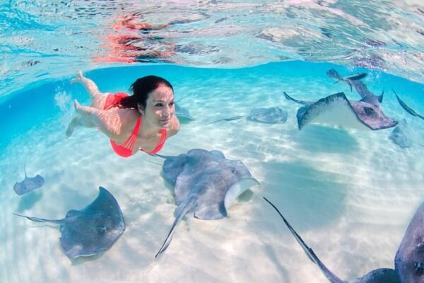 Tour de Parasailing, Snorkel y Encuentro con Tiburones y Rayas - Imagen 3
