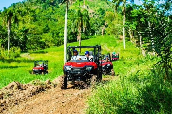 Combo de Aventura en Punta Cana: Monkeyland, Tirolesas y Buggies en un Solo Día - Imagen 2