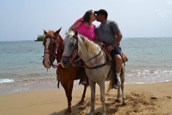Paseo a Caballo de Medio Día en la Playa de Puerto Plata - Imagen 6