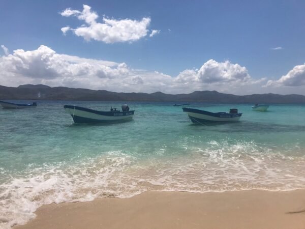 Paseo a Caballo de Medio Día en la Playa de Puerto Plata - Imagen 7